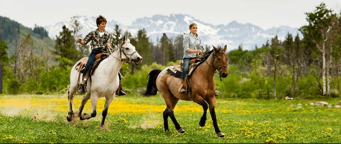 Confident plus-size woman riding Thatcham a horse through a field with a smile on her face.